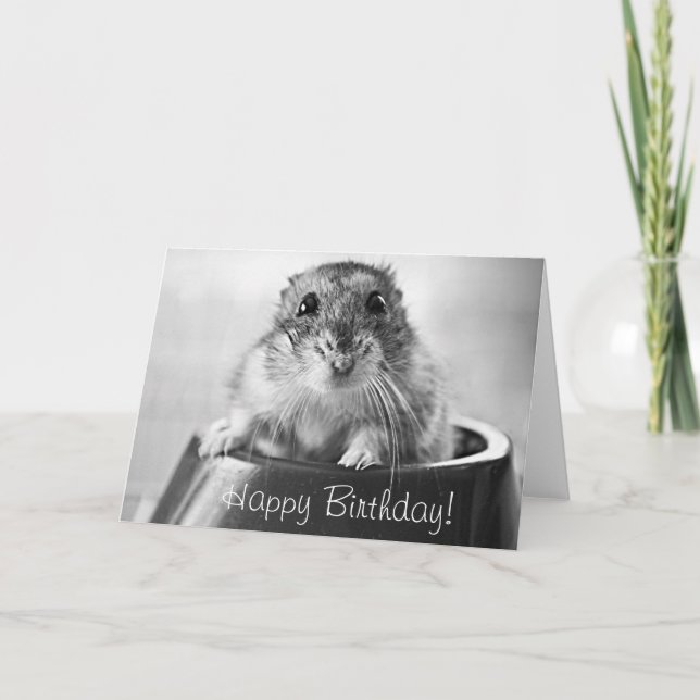 Carte de voeux de hamster, joyeux anniversaire (Devant)