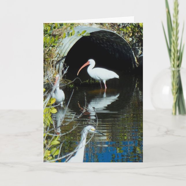 Carte de voeux de héron d'IBIS et de Milou (Devant)