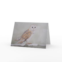 Carte de voeux de hibou de grange d'hiver