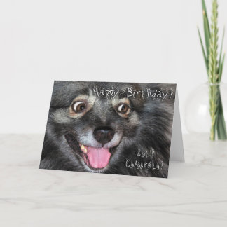 Carte de voeux de joyeux anniversaire de Keeshond