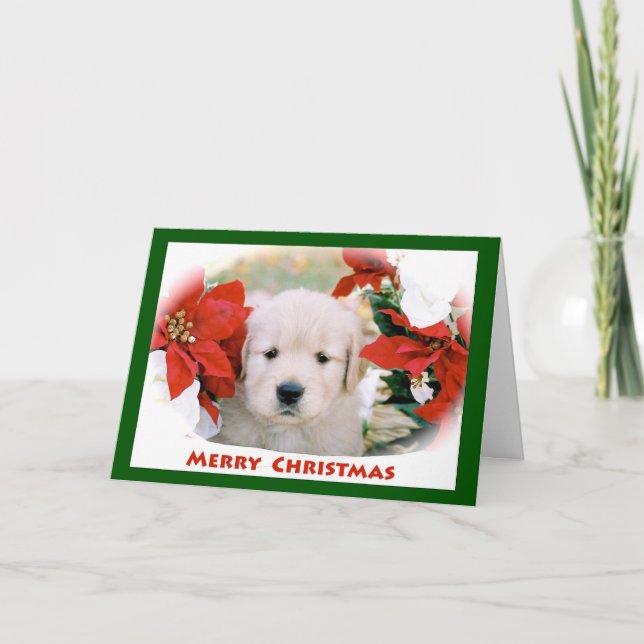 Carte de voeux de Joyeux Noël de golden retriever (Devant)