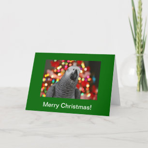 Carte de voeux de Joyeux Noël de perroquet de gris