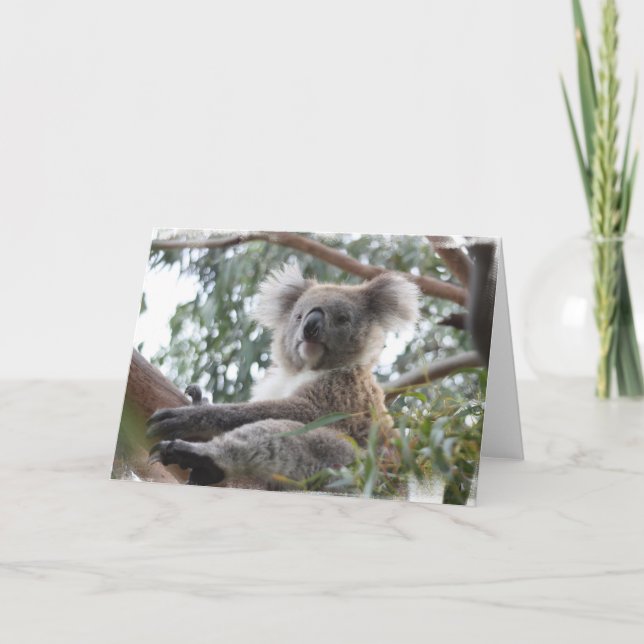 Carte de voeux de koala (Devant)