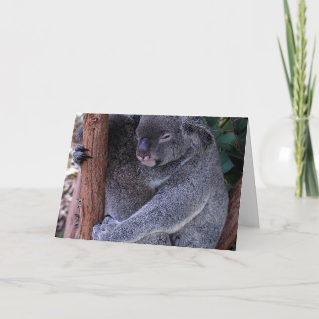 Carte de voeux de la famille Koala (Devant)