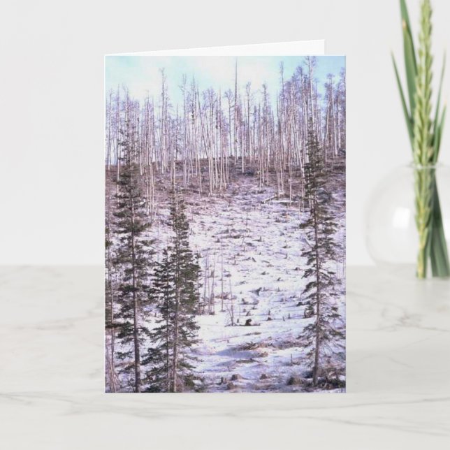 Carte de voeux de la hausse d'hiver (Devant)