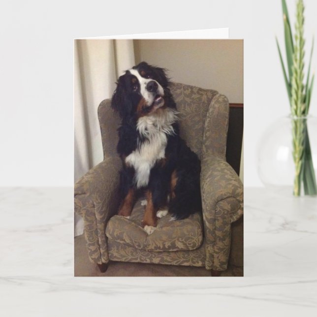 Carte de voeux de la nation Berner (Devant)