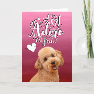 Carte de vœux de la Saint-Valentin pour Caniche ..