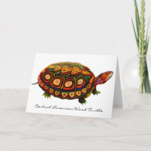 Carte de voeux de la tortue des bois d'Amérique ce