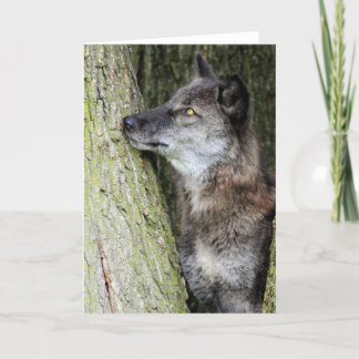 Carte de voeux de loup noir