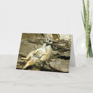 Carte de voeux de Mercat