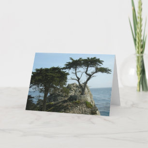 Carte de voeux de Monterey Cypress