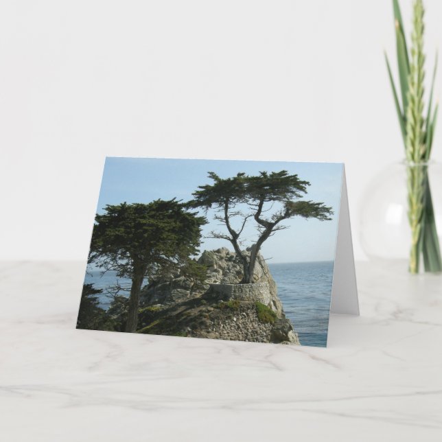 Carte de voeux de Monterey Cypress (Devant)
