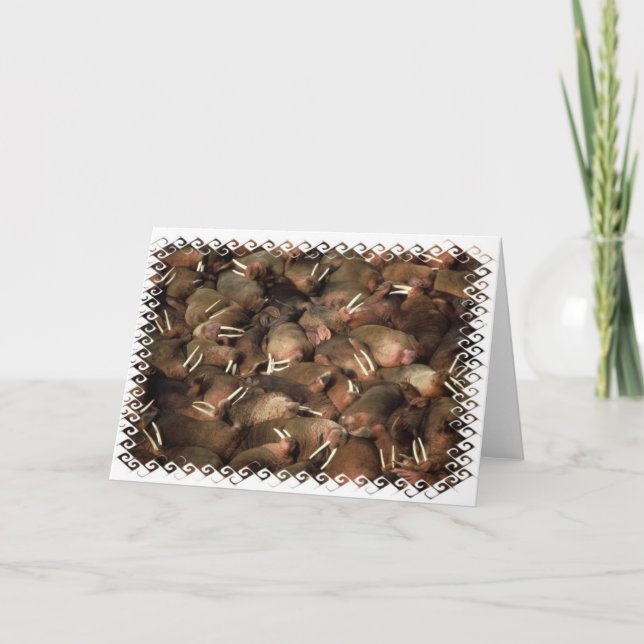 Carte de voeux de morses (Devant)