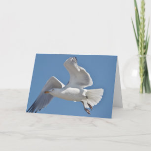 Carte de voeux de mouette