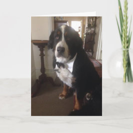 Carte de voeux de nation de Berner