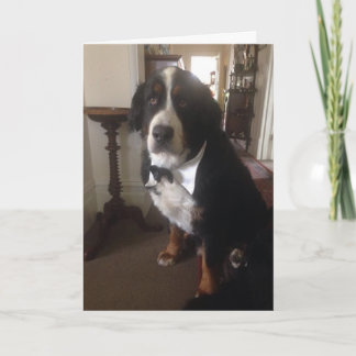 Carte de voeux de nation de Berner