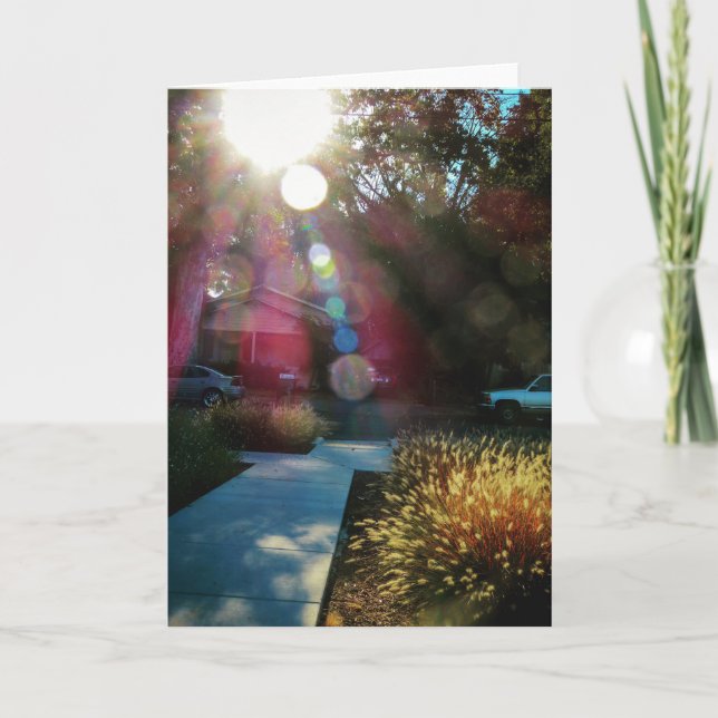 Carte de voeux de nature de NorCal : Carte de (Devant)