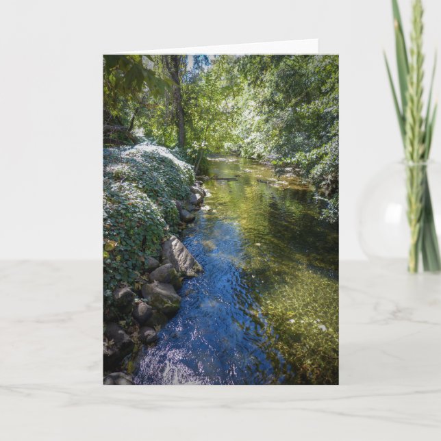 Carte de voeux de nature de NorCal : Grande carte (Devant)