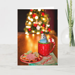 Carte de voeux de Noël à la carte bleue Parakeet