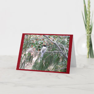 Carte de voeux de Noël au poulet