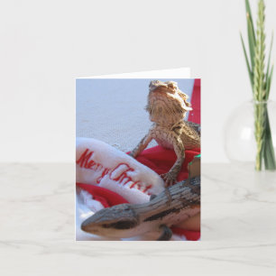 Carte de voeux de Noël Aussie