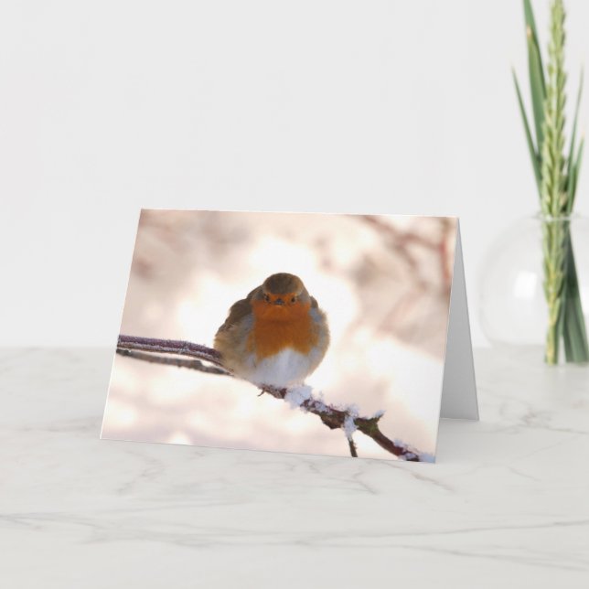 Carte de voeux de Noël avec Robin (Devant)