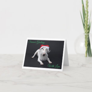 Carte de voeux de Noël Bull Terrier Père Noël