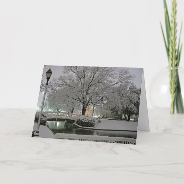 Carte de voeux de Noël de parc de Milou (Devant)