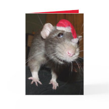 Carte de voeux de Noël de rire