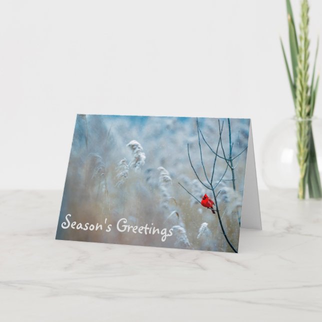 Carte de vœux de Noël de saison de Cardinal (Devant)