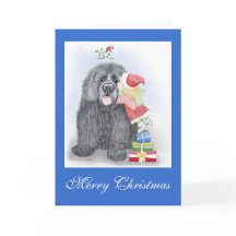 Carte de voeux de Noël de Terre-Neuve