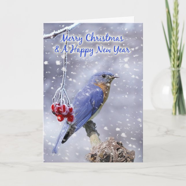 carte de voeux de noël d'oiseau bleu - paysage de  (Devant)