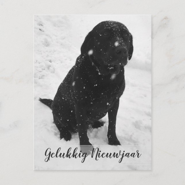 Carte de vœux de Noël et Nouvel An photo noir et b (Devant)