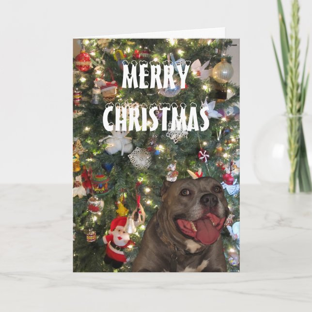 Carte de voeux de Noël Joyeux Pitbull (Devant)