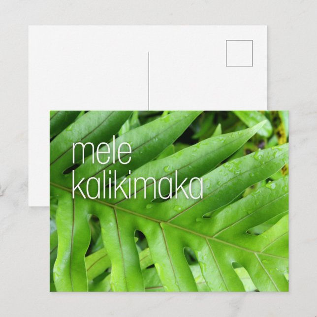 Carte de vœux de Noël Mele Kalikimaka Joyeux Noël (Devant / Derrière)