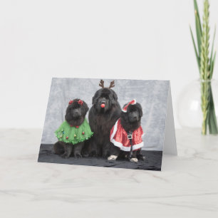 Carte de vœux de Noël Newfies