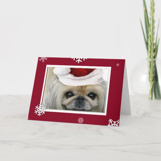 Carte de voeux de Noël Pekingese (Devant)