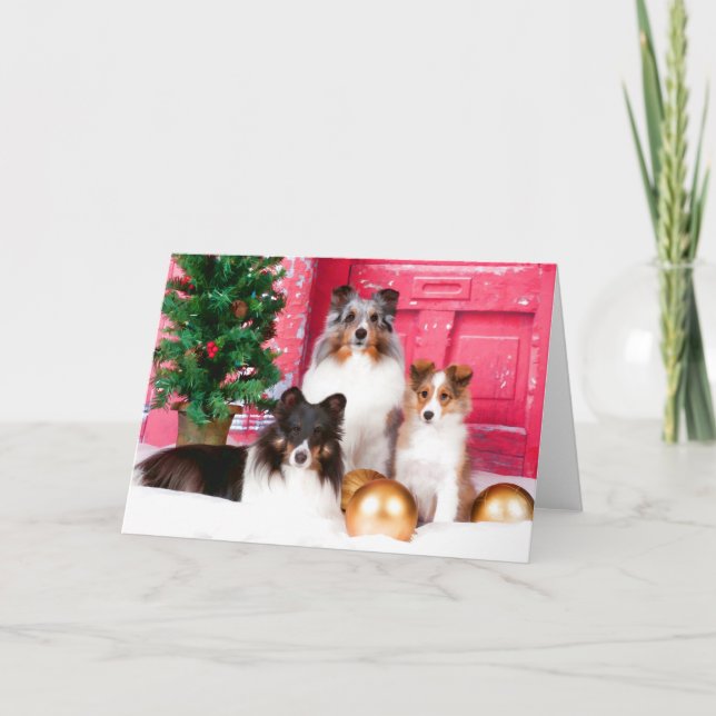 Carte de voeux de Noël Shetland Sheepdog (Devant)
