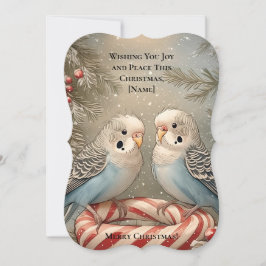 Carte de voeux de Noël sucre de canne Budgie