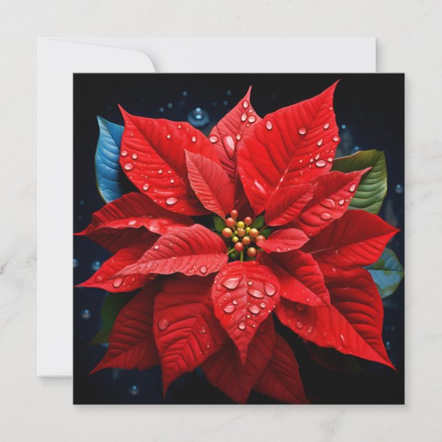 Carte de vœux de Noël vibrante avec poinsettia de  (Devant)