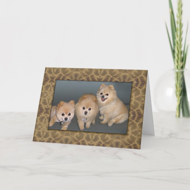 Carte de voeux de note ou de trois Pomeranians (Devant)