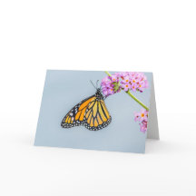 Carte de voeux de papillon de monarque