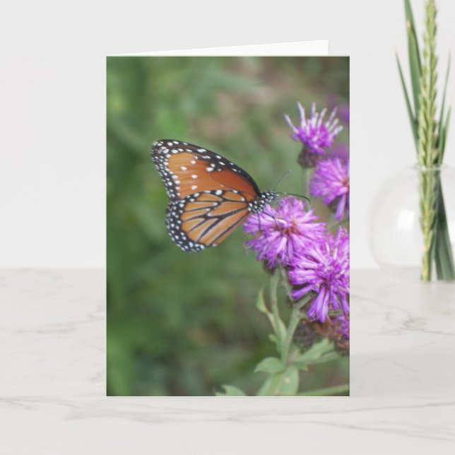Carte de voeux de papillon et de fleur sauvage (Devant)