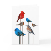 Carte de voeux de partie d'oiseau