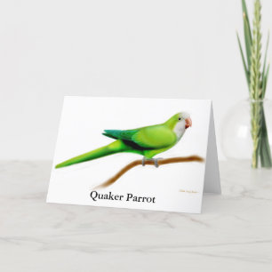 Carte de voeux de perroquet de quaker