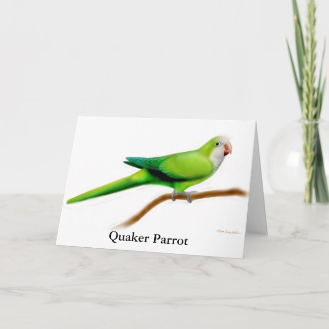 Carte de voeux de perroquet de quaker (Devant)