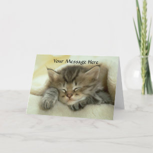 Carte de voeux de petit somme de chat
