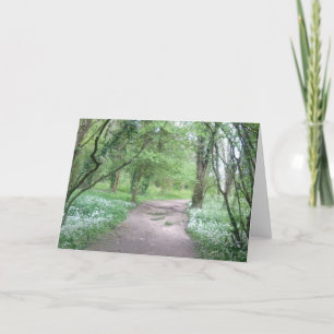 Carte de voeux de photo de chemin de région boisée