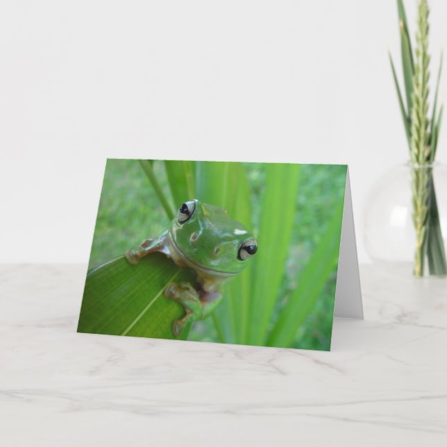 Carte de voeux de photo de grenouille (Devant)