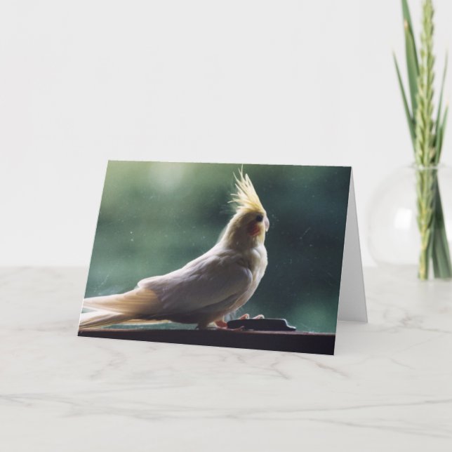 Carte de voeux de photographie d'oiseau de (Devant)